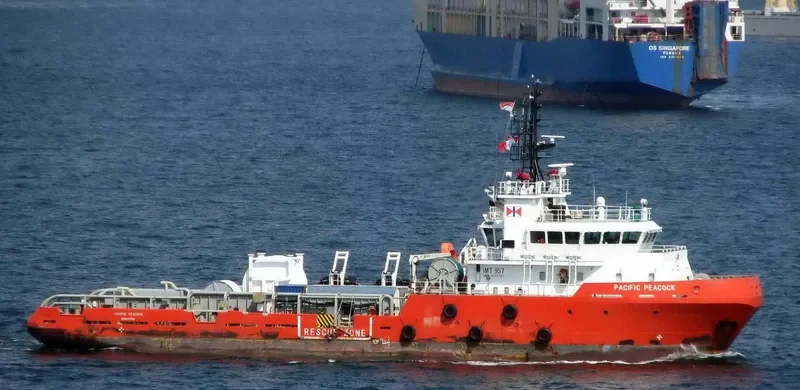 PACIFIC PEACOCK General Cargo IMO 9503380 photo 5
