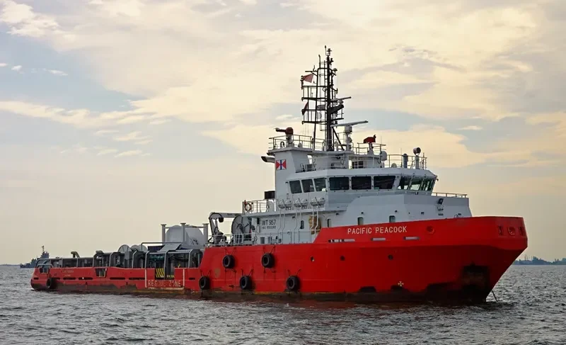 PACIFIC PEACOCK General Cargo IMO 9503380 photo 7
