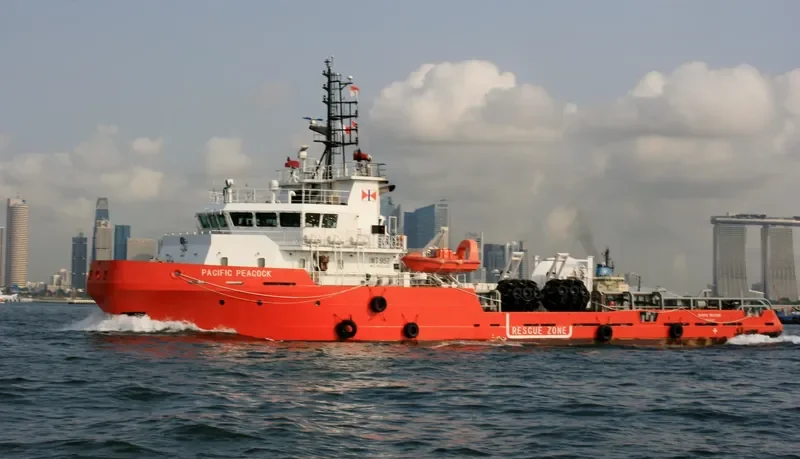 PACIFIC PEACOCK General Cargo IMO 9503380 photo 9