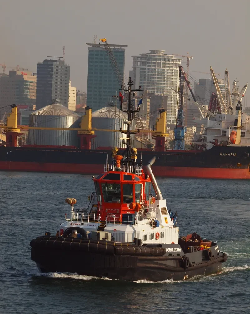 CMM MEZCAL General Cargo IMO 9503500