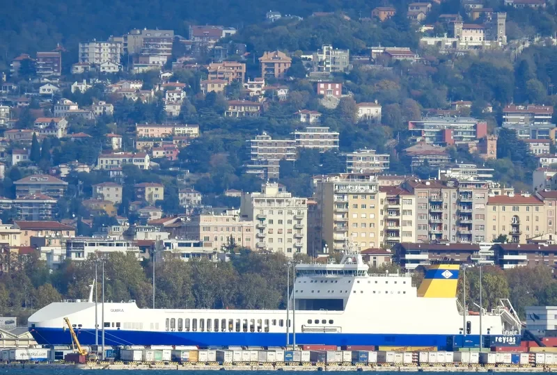 GIUSEPPE LUCCHESI Ro-Ro IMO 9503639