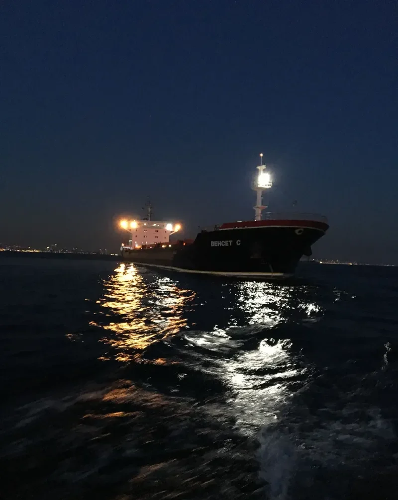 BEHCET C Bulk Carrier IMO 9503744 photo 2