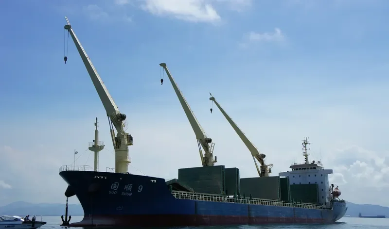GUO SHUN 9 Bulk Carrier IMO 9503809 photo 5