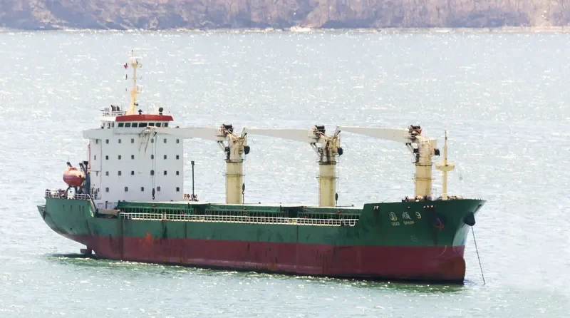 GUO SHUN 9 Bulk Carrier IMO 9503809 photo 8