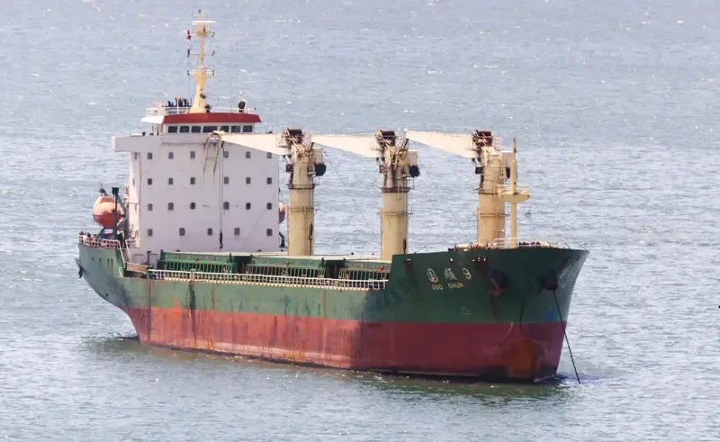 GUO SHUN 9 Bulk Carrier IMO 9503809 photo 9