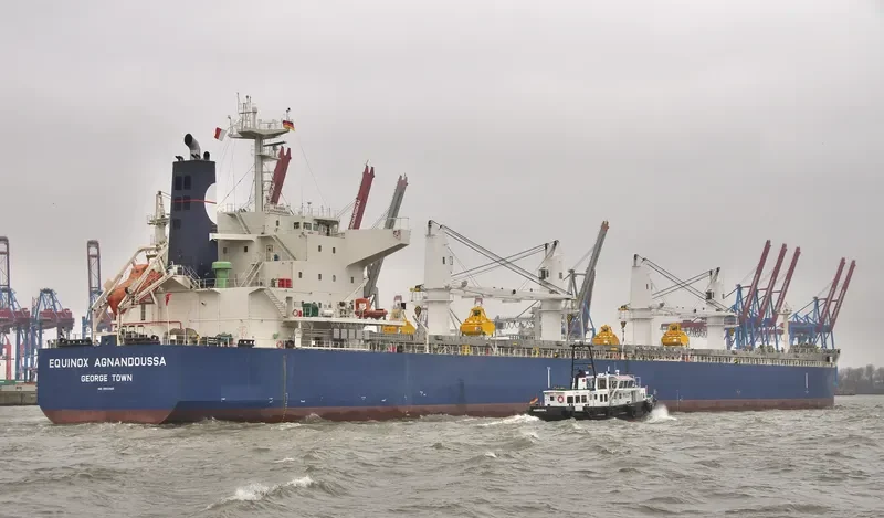EQUINOX AGNANDOUSSA Bulk Carrier IMO 9503988 photo 4