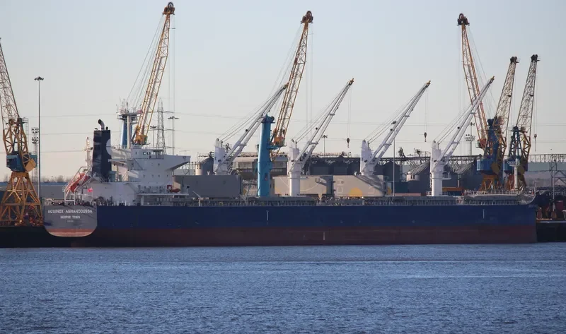 EQUINOX AGNANDOUSSA Bulk Carrier IMO 9503988 photo 8