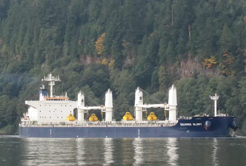 STAR GLORY Bulk Carrier IMO 9503990 photo 7