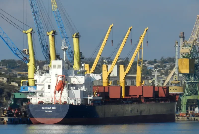 ELGIZNUR CEBI Bulk Carrier IMO 9504293 photo 7