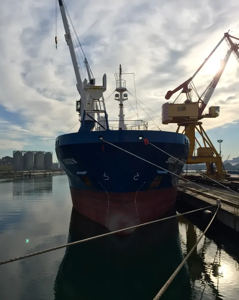 SDS GREEN General Cargo IMO 9504621 photo 6