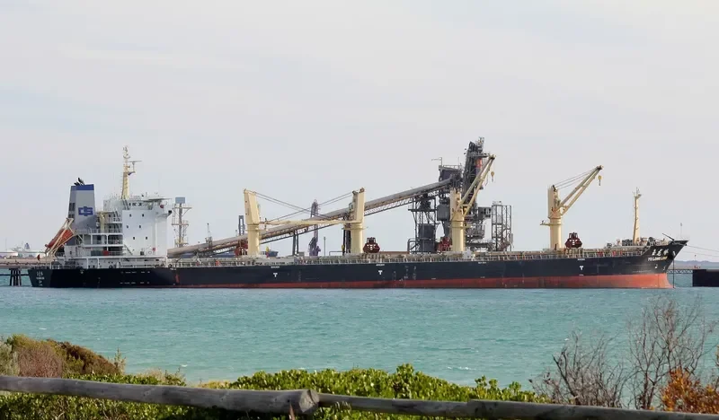YU LONG LING Bulk Carrier IMO 9505431 photo 4