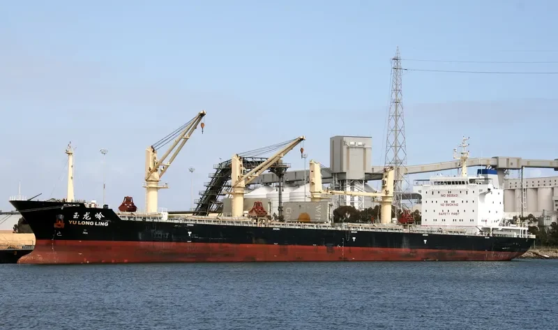 YU LONG LING Bulk Carrier IMO 9505431 photo 7