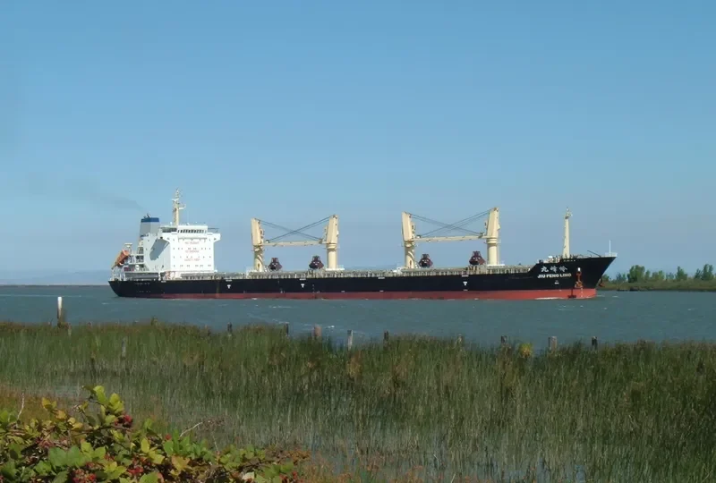 JIU FENG LING Bulk Carrier IMO 9505443 photo 4