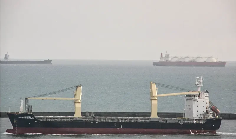 SPRING SALIM General Cargo IMO 9505895