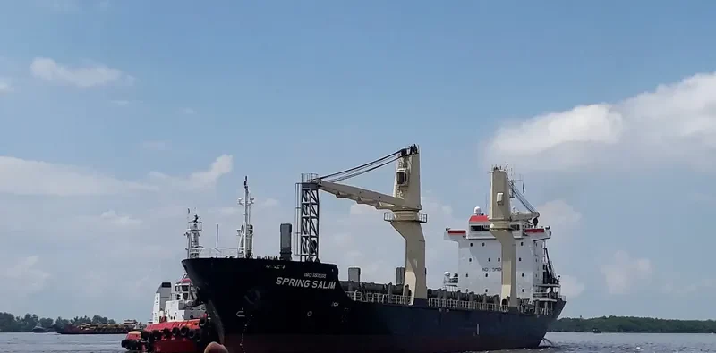 SPRING SALIM General Cargo IMO 9505895 photo 7