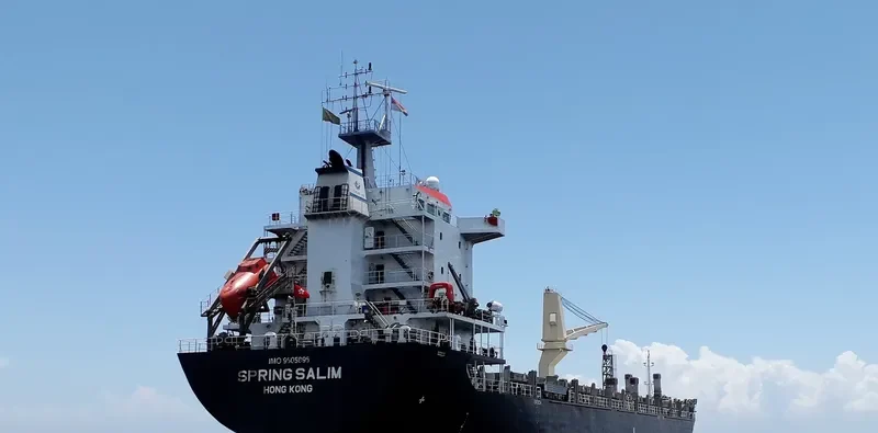 SPRING SALIM General Cargo IMO 9505895 photo 8