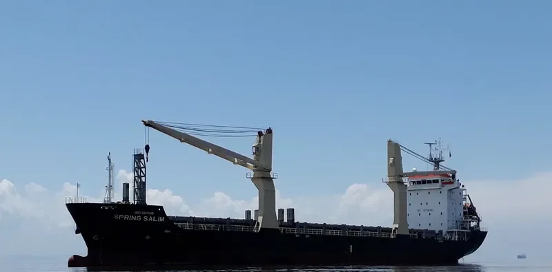 SPRING SALIM General Cargo IMO 9505895 photo 10