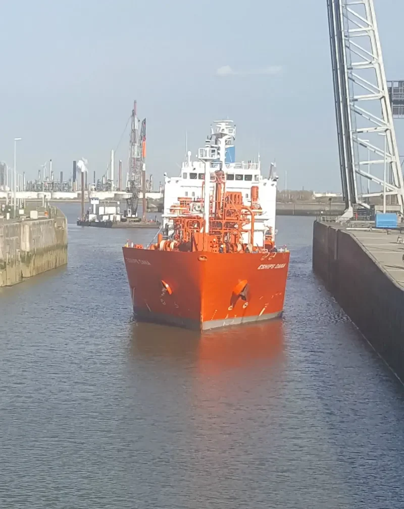 TRISTAR DANA General Cargo IMO 9506186 photo 5