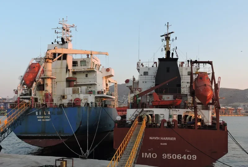 NAVIN HARRIER Bulk Carrier IMO 9506409 photo 6