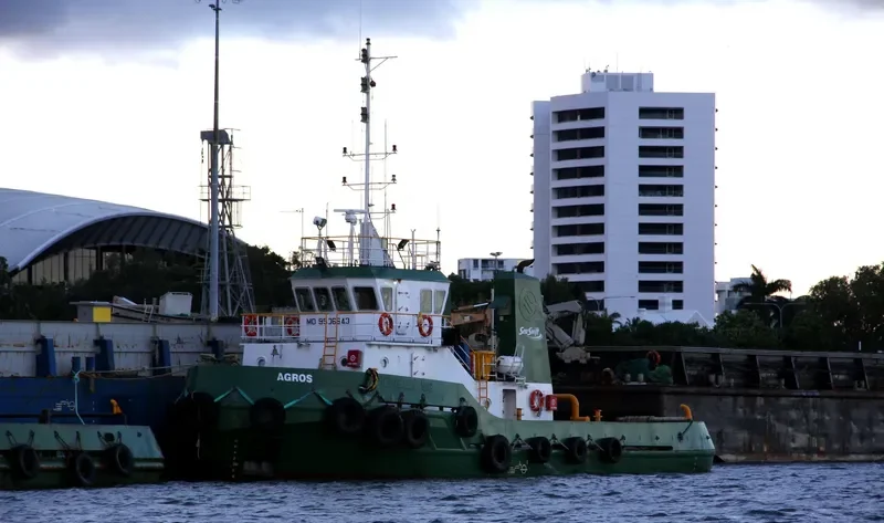 AGROS General Cargo IMO 9506643