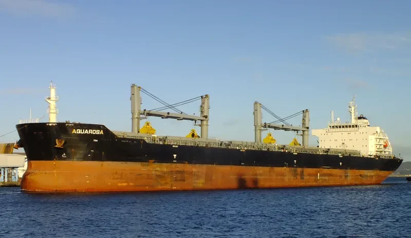 AIS SUN Bulk Carrier IMO 9506708 photo 4