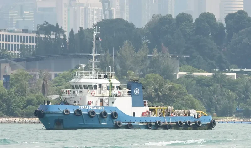 TERAS PEGASUS 3 General Cargo IMO 9506942