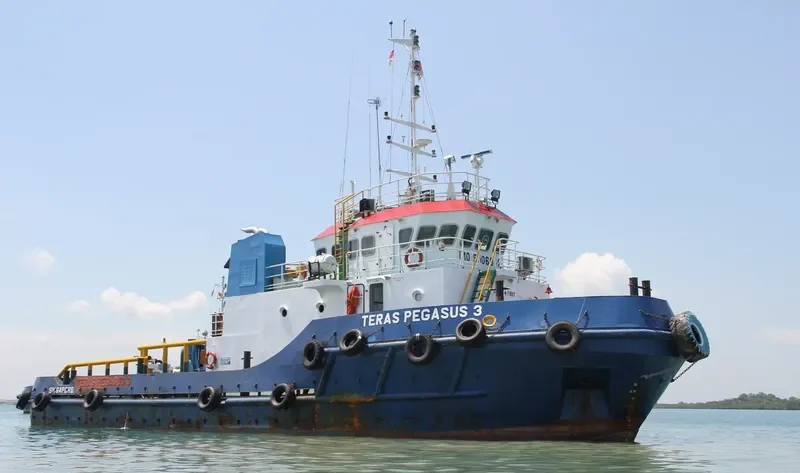 TERAS PEGASUS 3 General Cargo IMO 9506942 photo 3