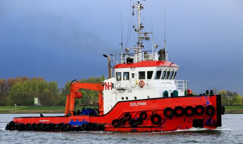 DOLPHIN General Cargo IMO 9507386 photo 6