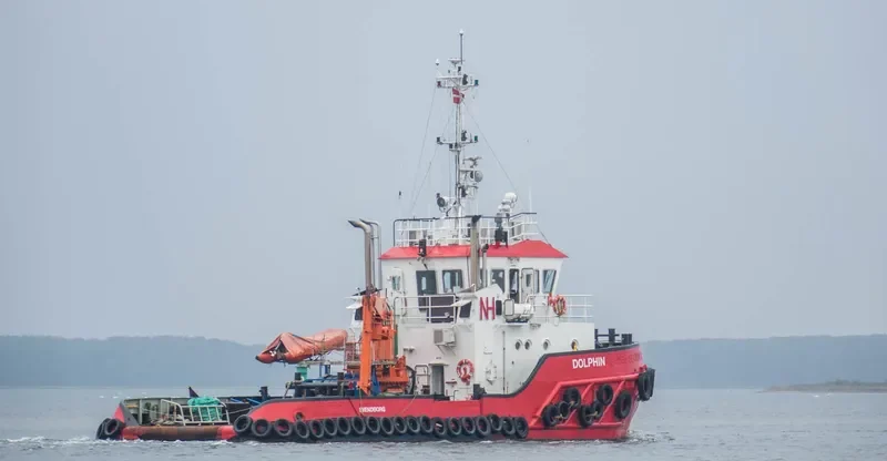 DOLPHIN General Cargo IMO 9507386 photo 8