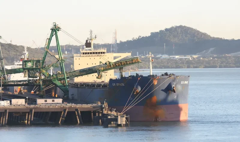 GREAT SUI Bulk Carrier IMO 9507532