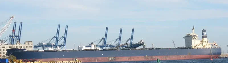 E.R.BUENOS AIRES Bulk Carrier IMO 9507544 photo 3