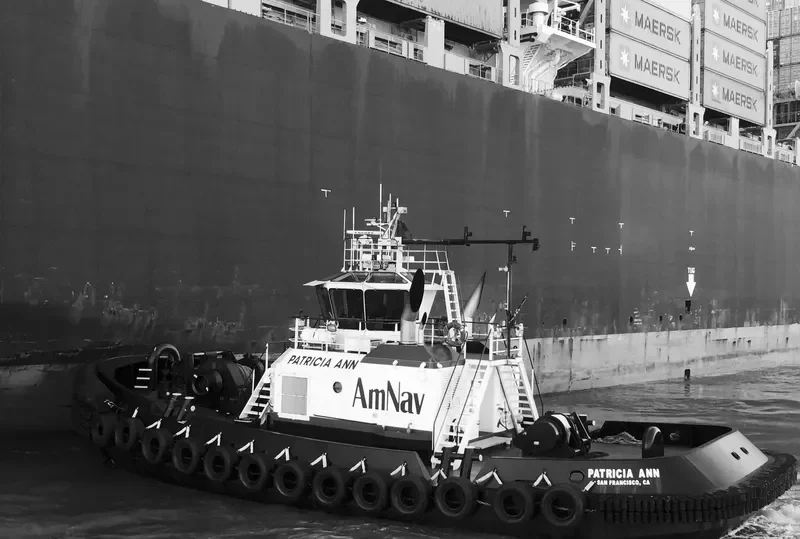 PATRICIA ANN General Cargo IMO 9507879 photo 5