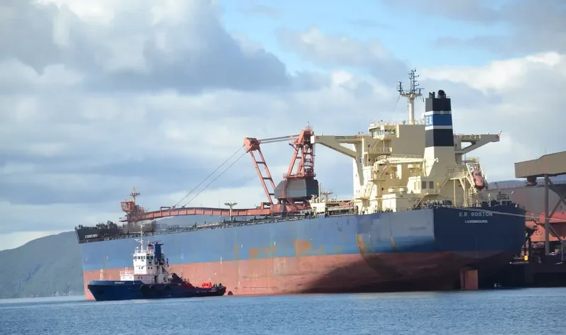 NAVIOS ASTER Bulk Carrier IMO 9507881 photo 7