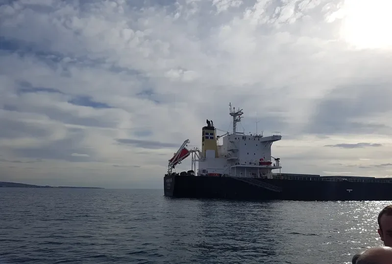 SASEBO ACE Bulk Carrier IMO 9507960