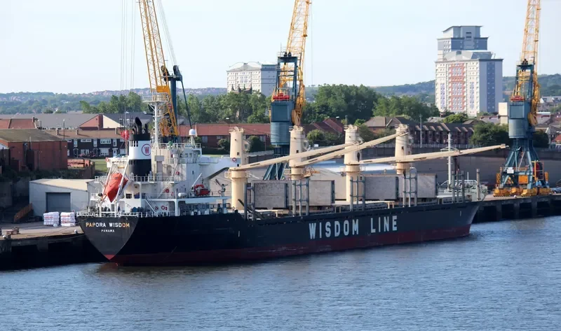 PAPORA WISDOM Bulk Carrier IMO 9508718