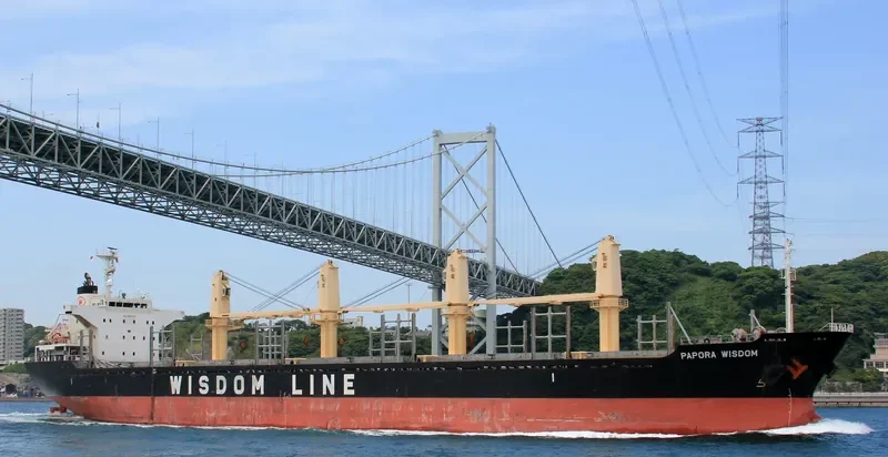 PAPORA WISDOM Bulk Carrier IMO 9508718 photo 10