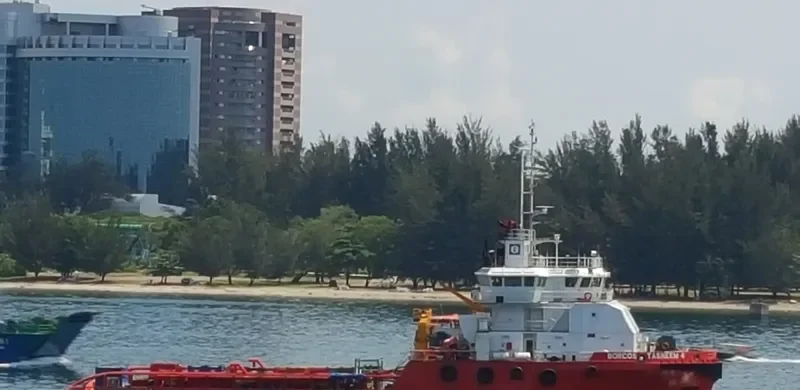 BORCOS TASNEEM 4 Offshore Vessel IMO 9508811