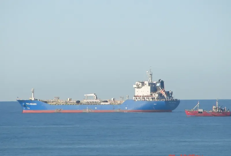 PUNTA MEDANOS Tanker IMO 9508990 photo 5