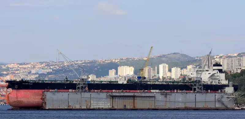 MOUNT FUJI Tanker IMO 9509011