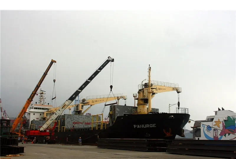 DS FLOURISH General Cargo IMO 9509085 photo 3