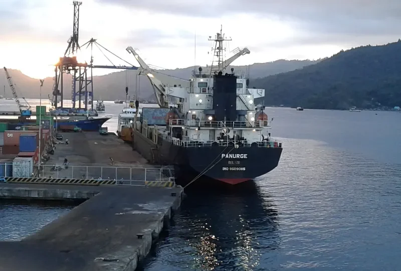 DS FLOURISH General Cargo IMO 9509085 photo 8