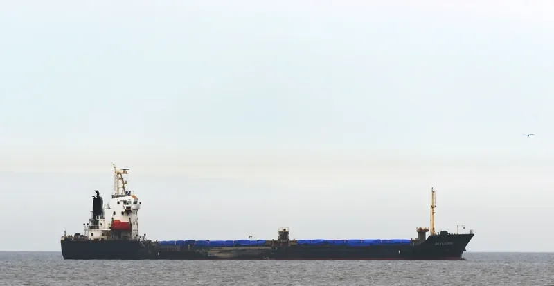 DS FLOURISH General Cargo IMO 9509085 photo 9