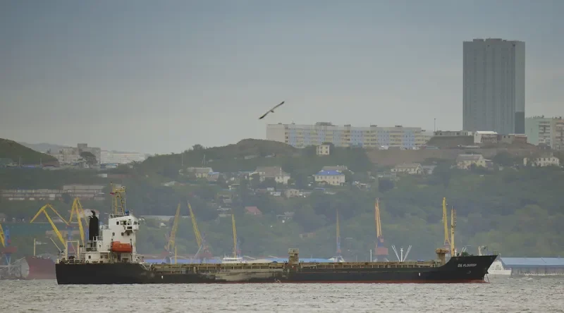 DS FLOURISH General Cargo IMO 9509085 photo 10