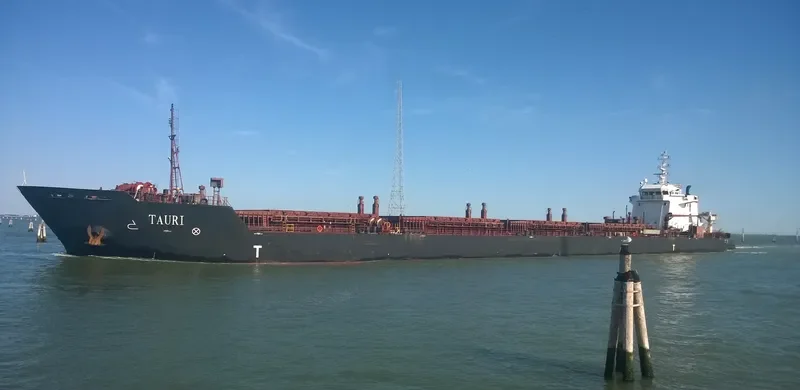 CORONA BOREALE General Cargo IMO 9509358 photo 4