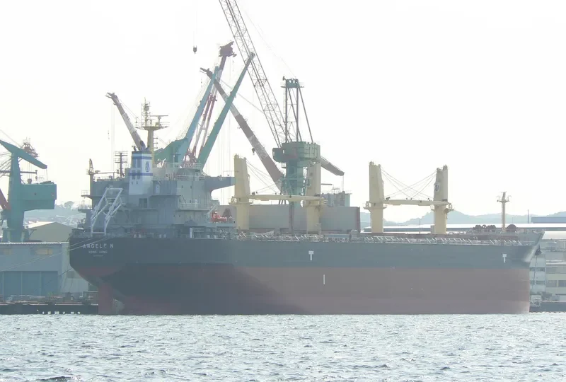ANGELE N Bulk Carrier IMO 9509528 photo 3
