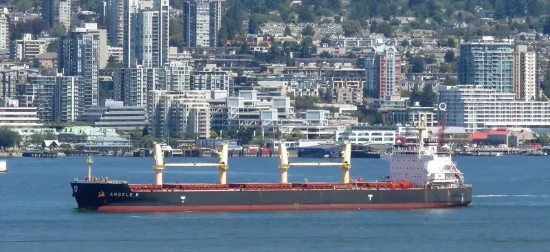 ANGELE N Bulk Carrier IMO 9509528 photo 5