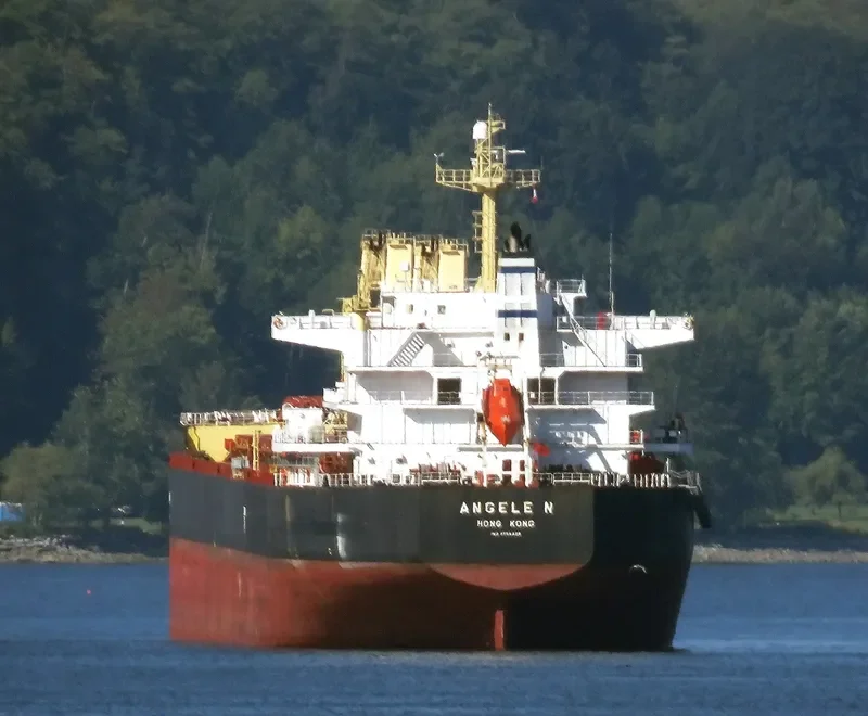 ANGELE N Bulk Carrier IMO 9509528 photo 6