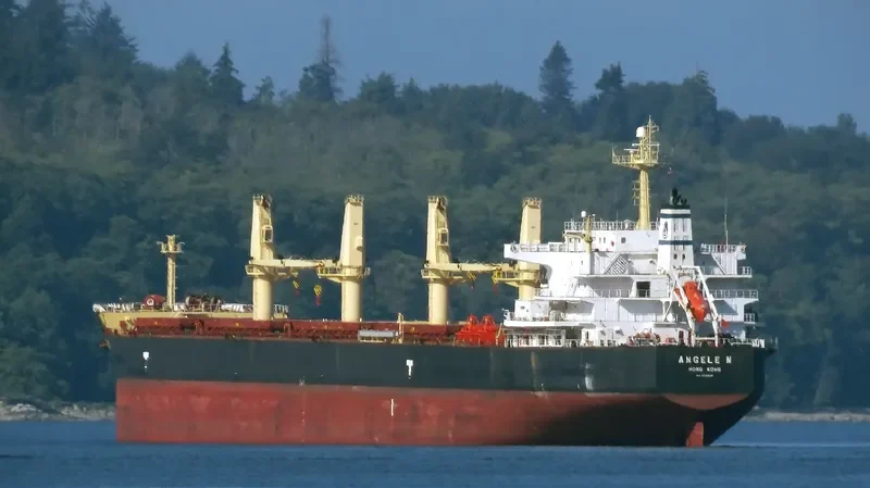 ANGELE N Bulk Carrier IMO 9509528 photo 7
