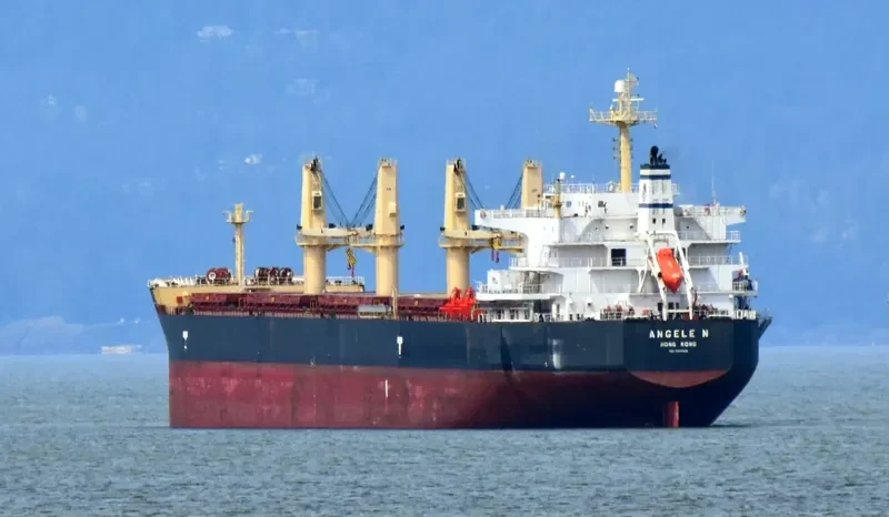 ANGELE N Bulk Carrier IMO 9509528 photo 9