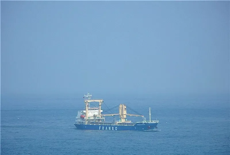 FRANBO PROGRESS General Cargo IMO 9510034 photo 2